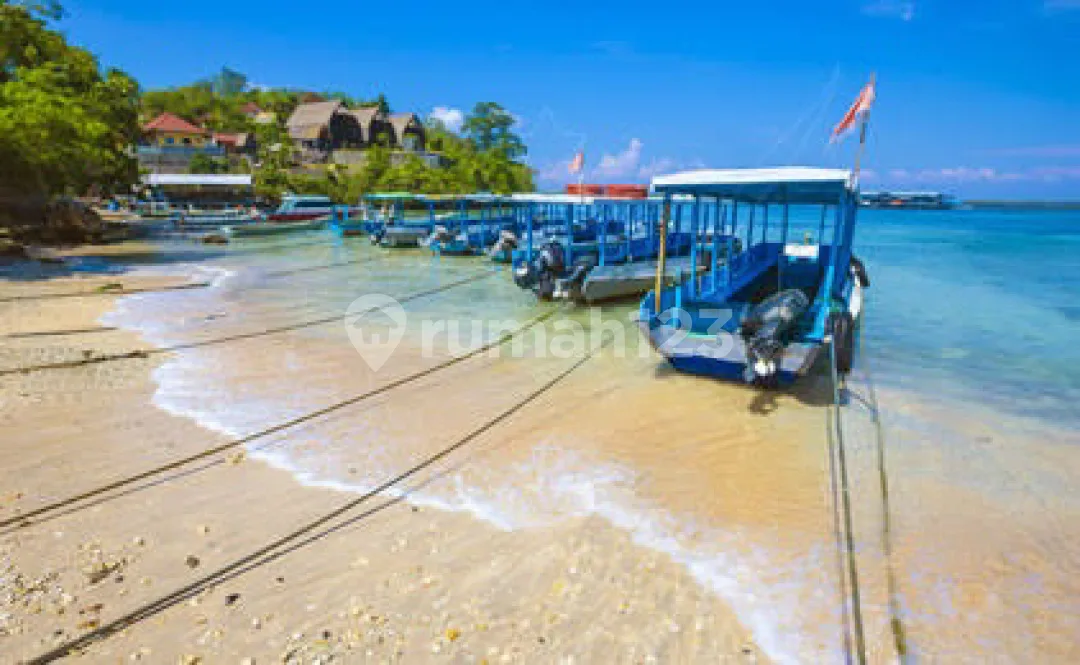 Jual Cepat Ocean View Land Nusa Penida 3 Hektar - Image 3 of 4