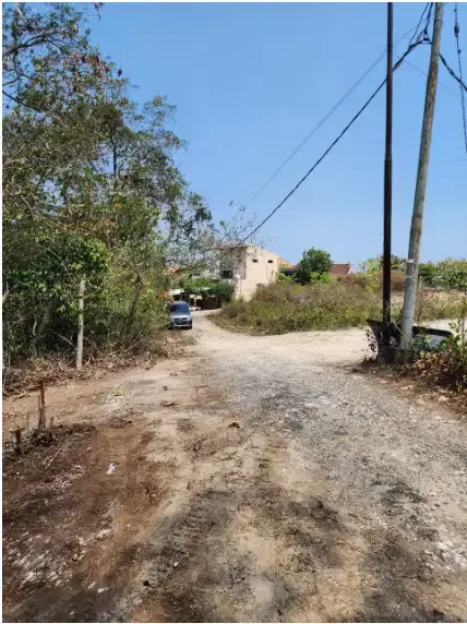 Tanah Sewa Murah 42 Are di Ungasan - Image 4 of 8