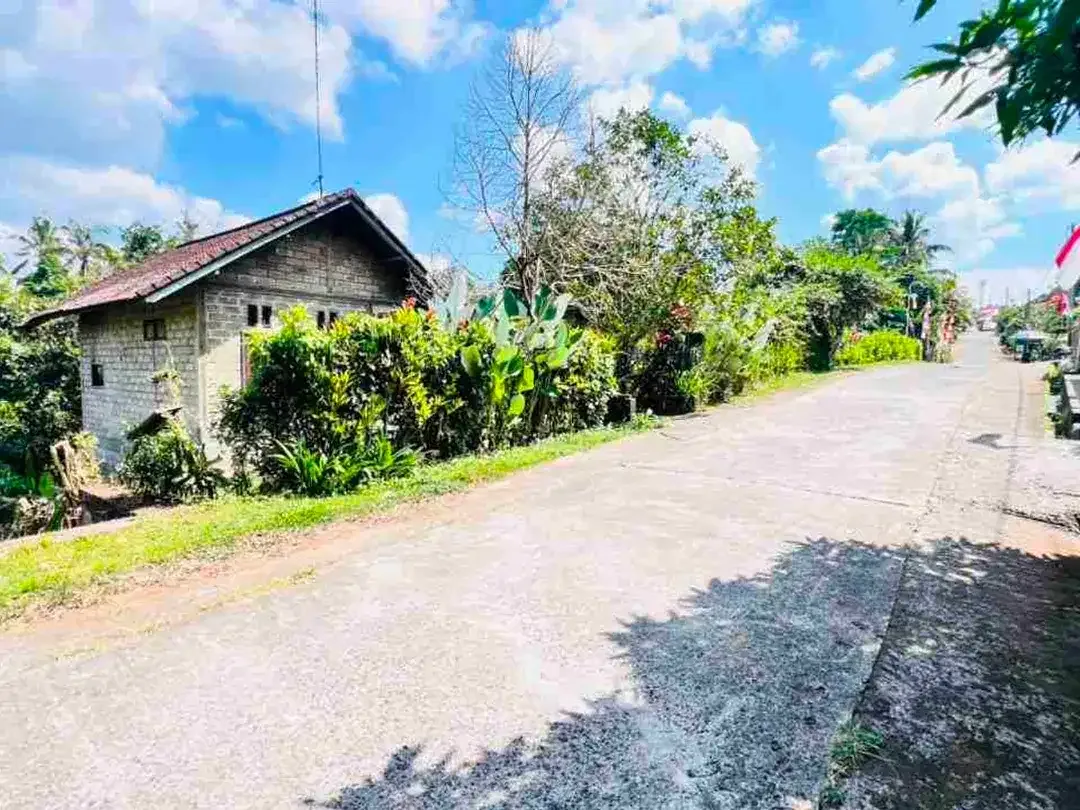 jual tanah dan rumah di desa wisata manikyang tabanan bali - Image 1 of 10