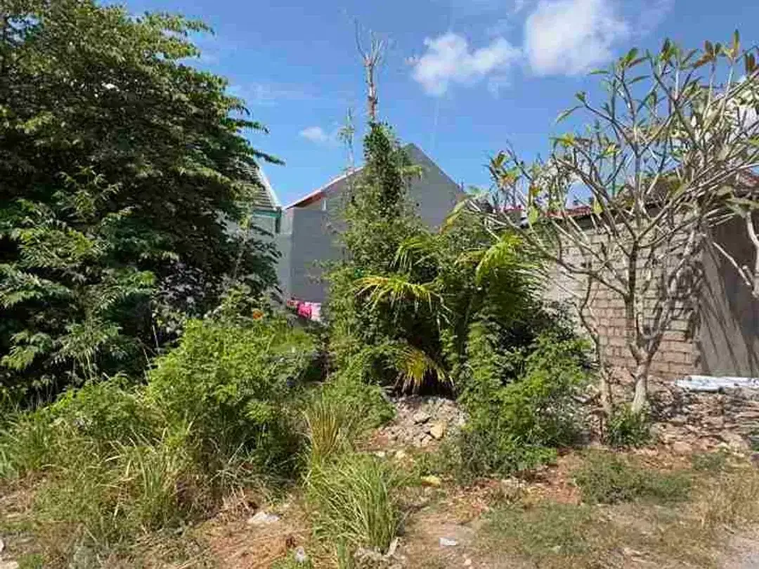 Dijual Super Murah Tanah 150m2 Di Jimbaran Dekat Imigrasi - Image 7 of 8