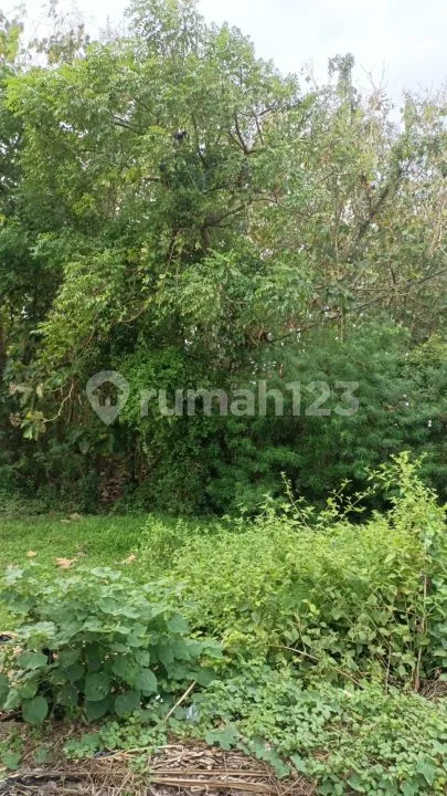 Down Price!! Dijual Tanah Jarang Ada 1,82 Are Dekat Kawasan Villa Elite Munggu Canggu Bali - Image 4 of 4
