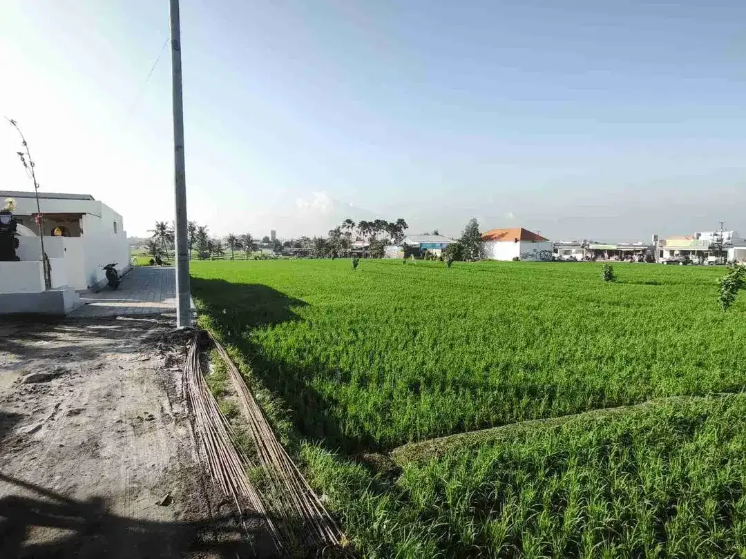 Tanah strategis dekat dengan pantai lima - Image 5 of 8
