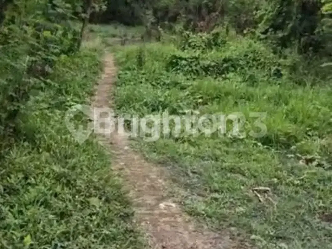 Tanah Luas 260 Are - Jalan Ida Bagus Mantra, Klungkung Lokasi Strategis Seberang Rs Graha Medika Klungkung Bali Cocok untuk Resort /Perumahan - Image 4 of 7