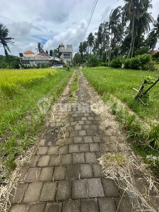 Tanah Siap Bangun Zona Kuning Lodtunduh Ubud - Image 3 of 4