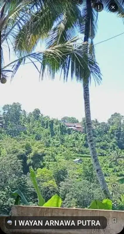 Land 1,2ha for Sale above Telaga Waja River Karangasem Bali - Image 4 of 10