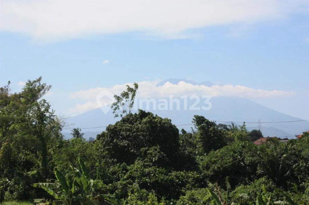 Tanah 76Are View Gunung di Blkg dan Laut Depan di Desa Siyut,Gianyar - Image 3 of 4