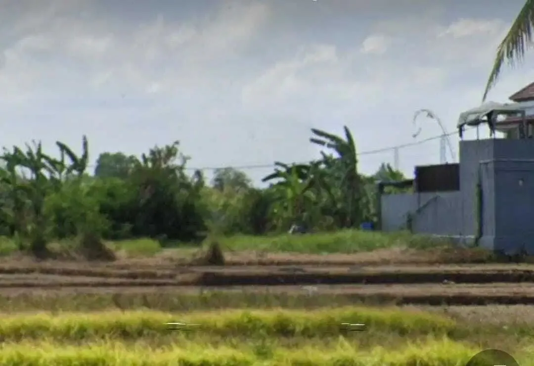 Tanah View Sawah 210m2 di Pantai Kedungu Tabanan - Image 3 of 5