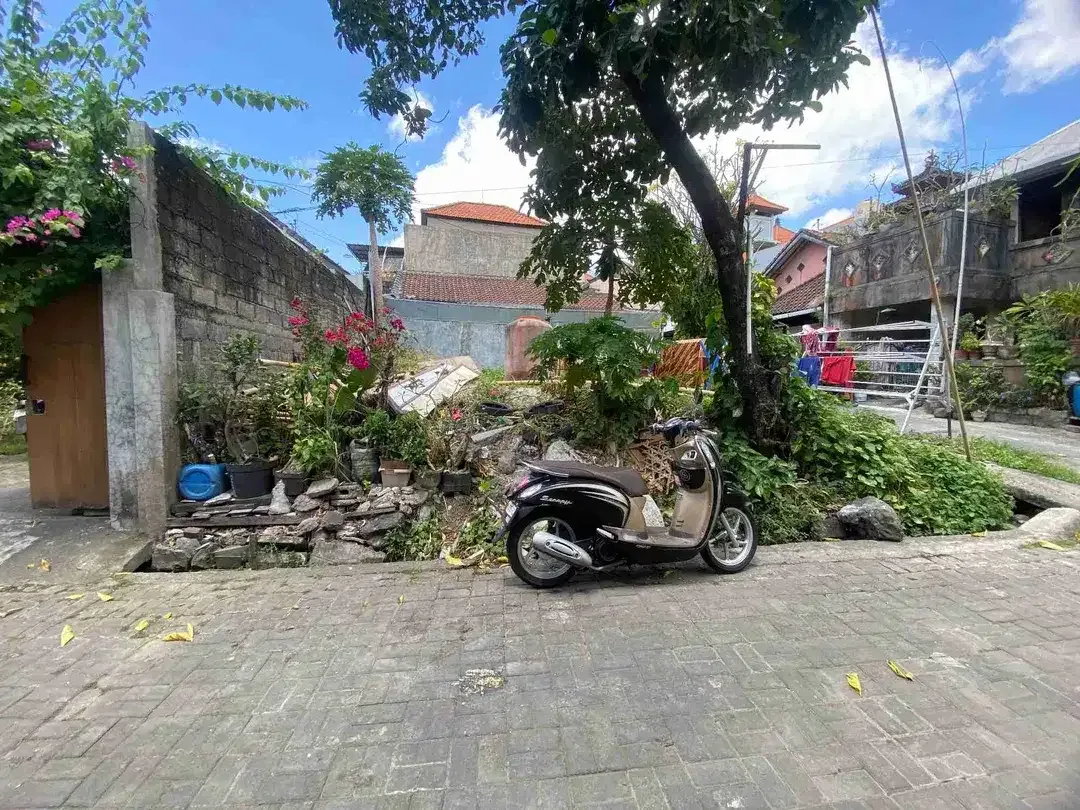Tanah padonan Canggu cocok untuk hunian pribadi atau homestay guesthouse - Image 1 of 6