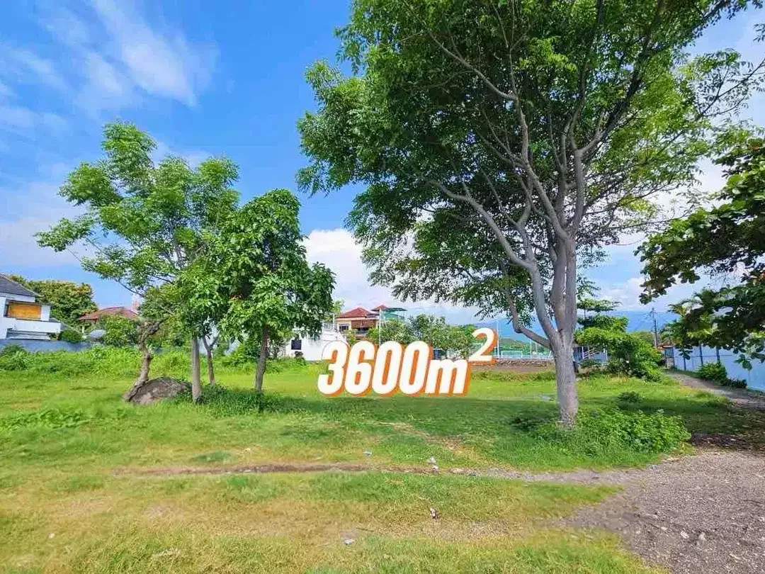 FOR SALE LAND 36 M2 BEACHFRONT LOVINA, BALI - Image 8 of 9