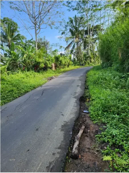 Tanah 6,4 Are di Tegalalang Ubud - Image 2 of 10