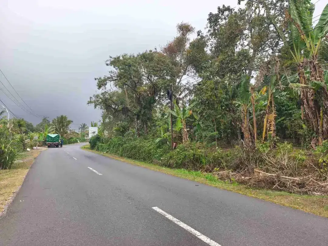 Tanah 4.550m² Full View Jungle di Pupuan Tabanan - Image 10 of 10