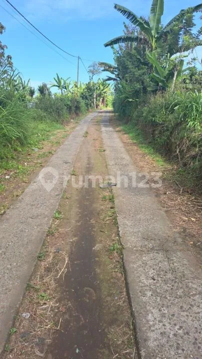 Tanah Zona Kuning Munduk Gobleg Bedugul #7731 - Image 4 of 4