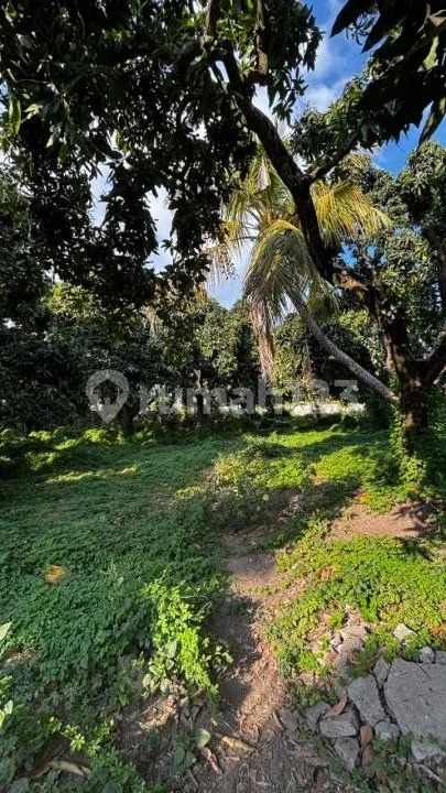 Dijual Cepat Tanah Kondisi Sudah Padat Siap Bangun di Singaraja - Image 3 of 4
