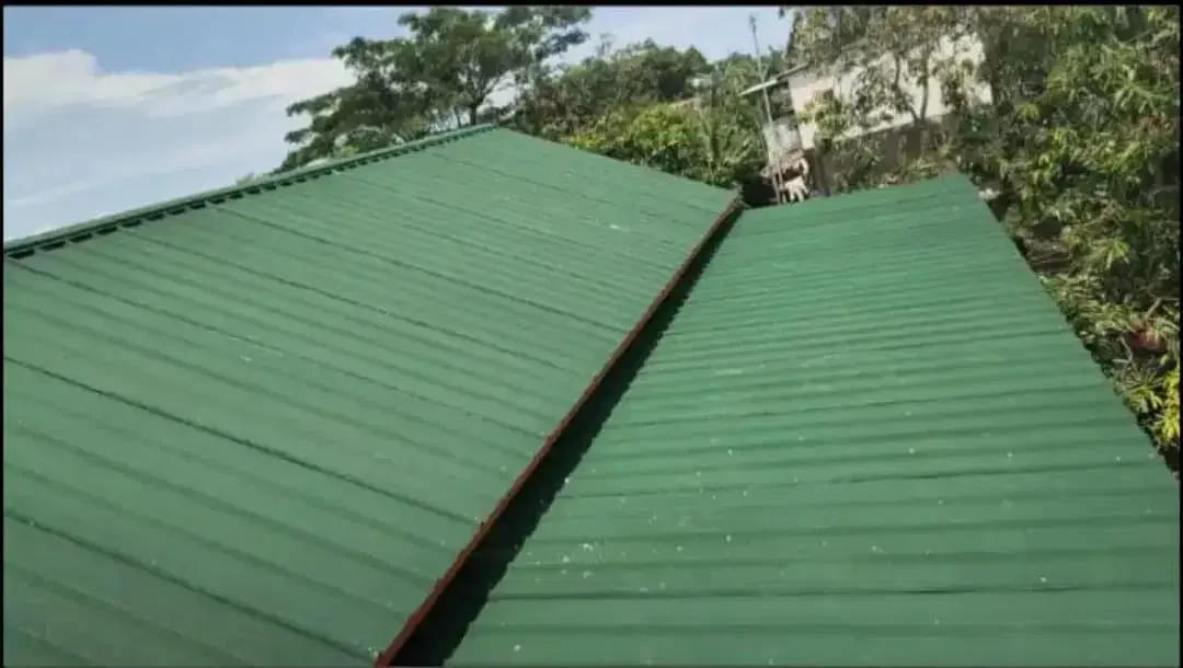 Kanopi Galvalum atap Spandek, Alderon dan Solartuff - Image 3 of 9
