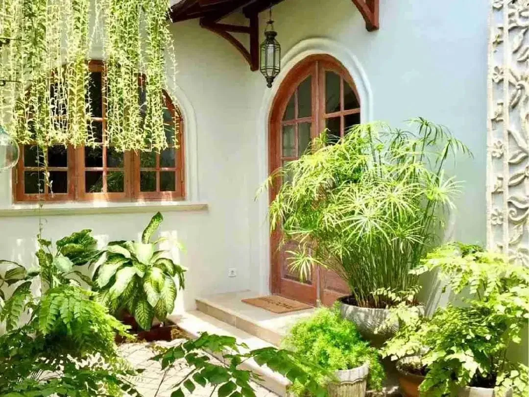 DIJUAL VILLA CANGGU KAYUTULANG SELATAN COCOK UNTUK HUNIAN ATAU DIKOMERSILKAN - Image 10 of 10