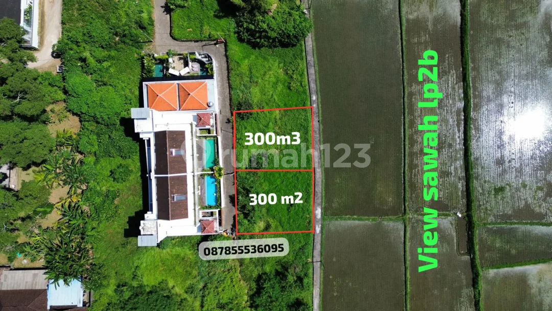 Dijual Tanah View Sawah di Mas Ubud Gianyar Bali Nyaman & Tenang - Image 1 of 4