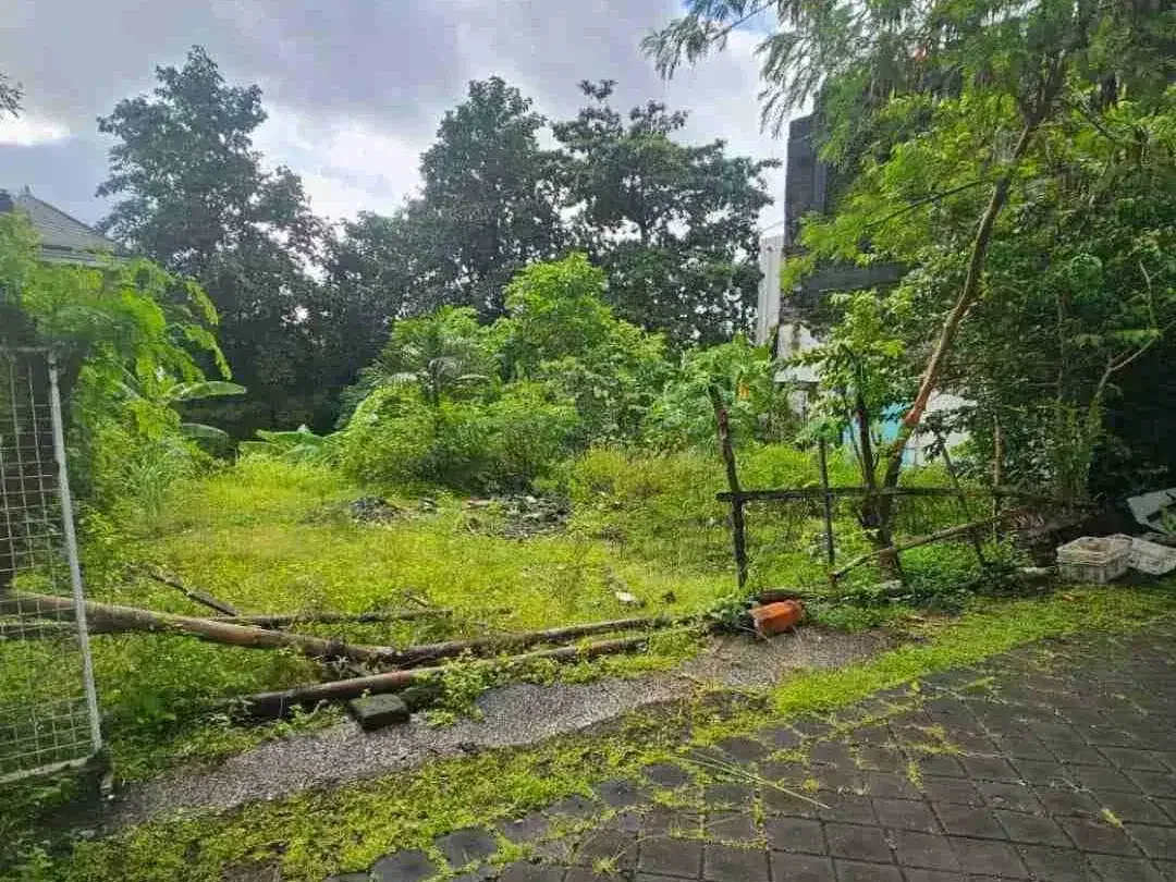 TANAH TEGAL CUPEK DEKAT UMALAS KEROBOKAN KUTA UTARA - Image 5 of 10