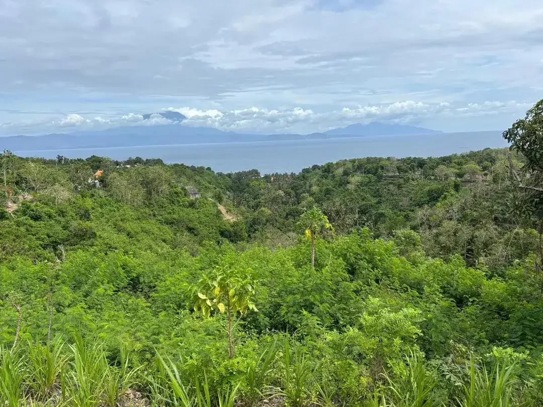TANAH VIEW LAUT & PERBUKITAN DI NUSA PENIDA KLUNGKUNG DEKAT KUTAMPI BEACH - Image 7 of 10