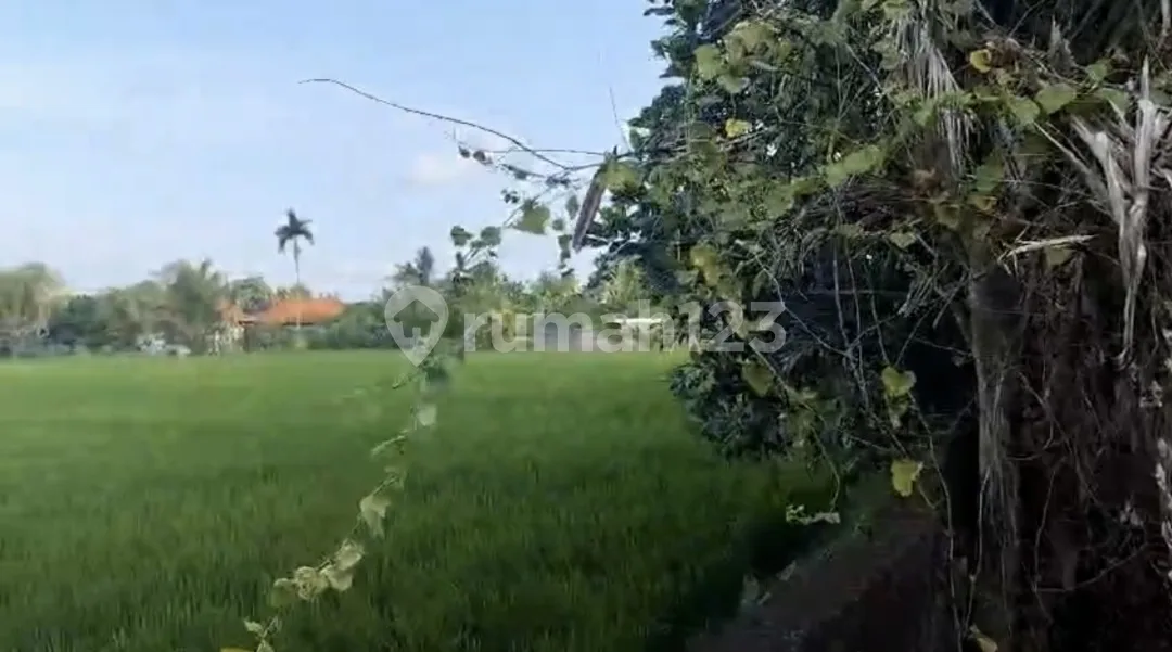 Komplek Villa Buruan Gianyar Bali - Image 4 of 4