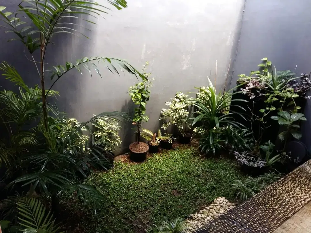 BUC RUMAH MINIMALIS MURAH UBUD - Image 3 of 9