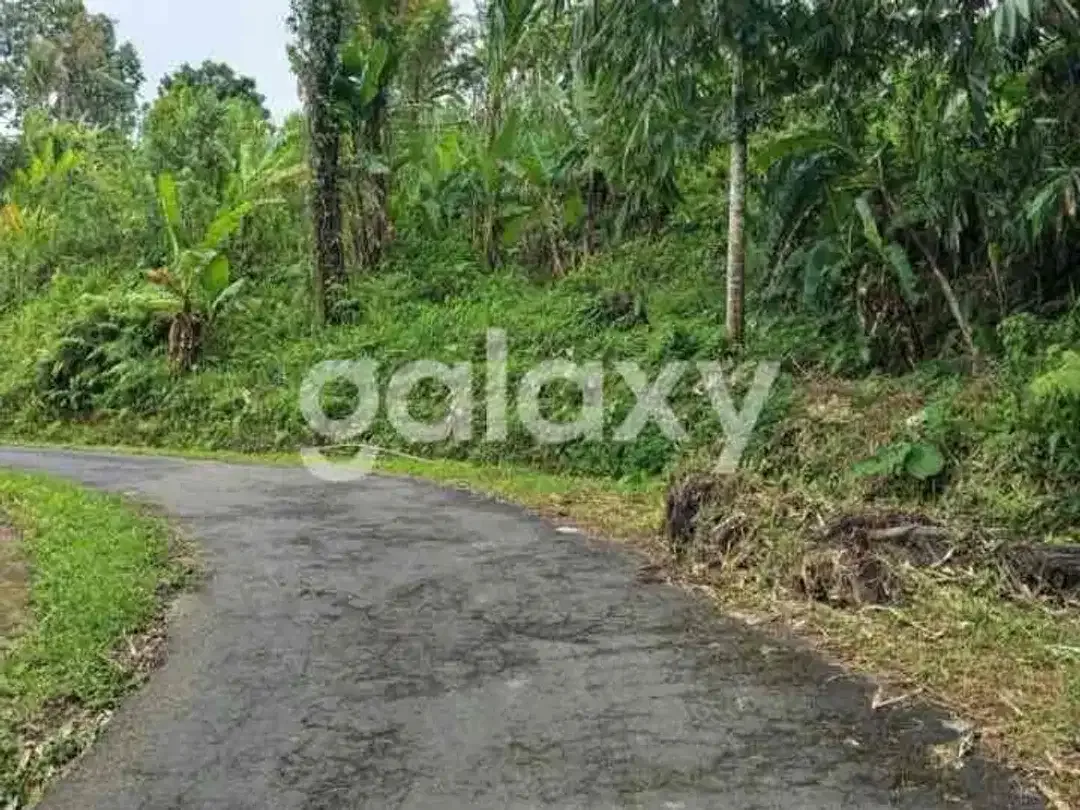 DIJUAL TANAH DAERAH PETANG BADUNG BALI - Image 9 of 9
