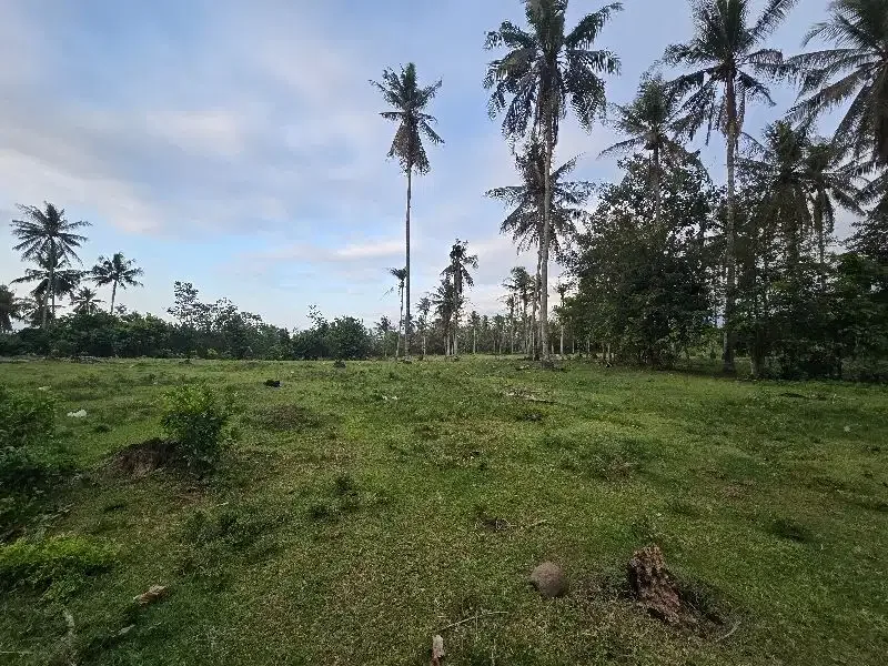 DI jual tanah datar  pruntukan industri di jembrana bali - Image 7 of 8
