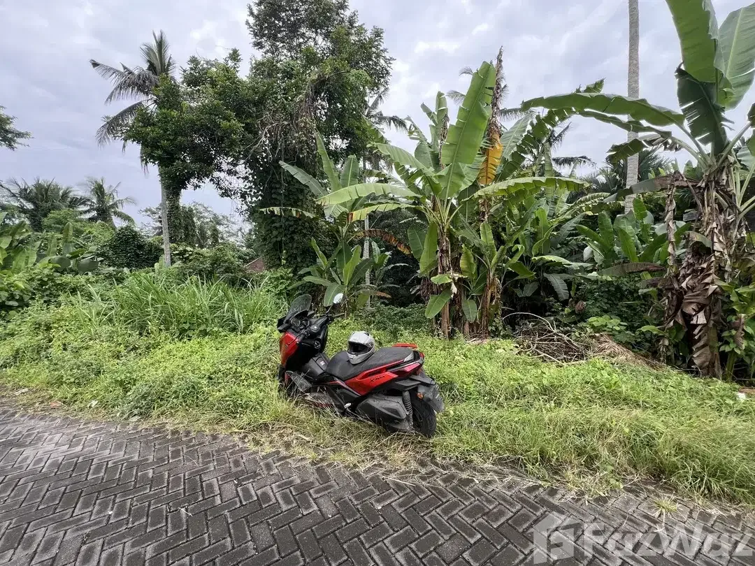 Land for sale in Ubud, Bali - Image 4 of 5