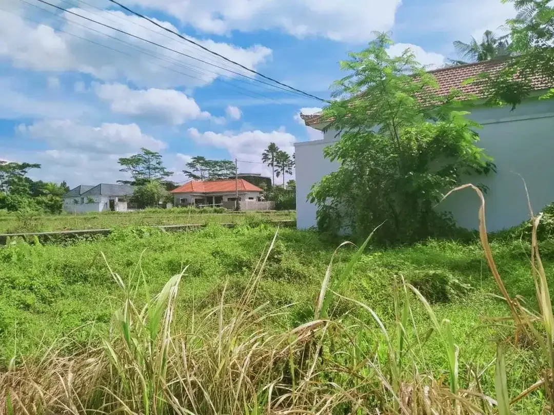 Scenic 2 Are Leasehold Land in Ubud with Rice Field View - Image 5 of 10