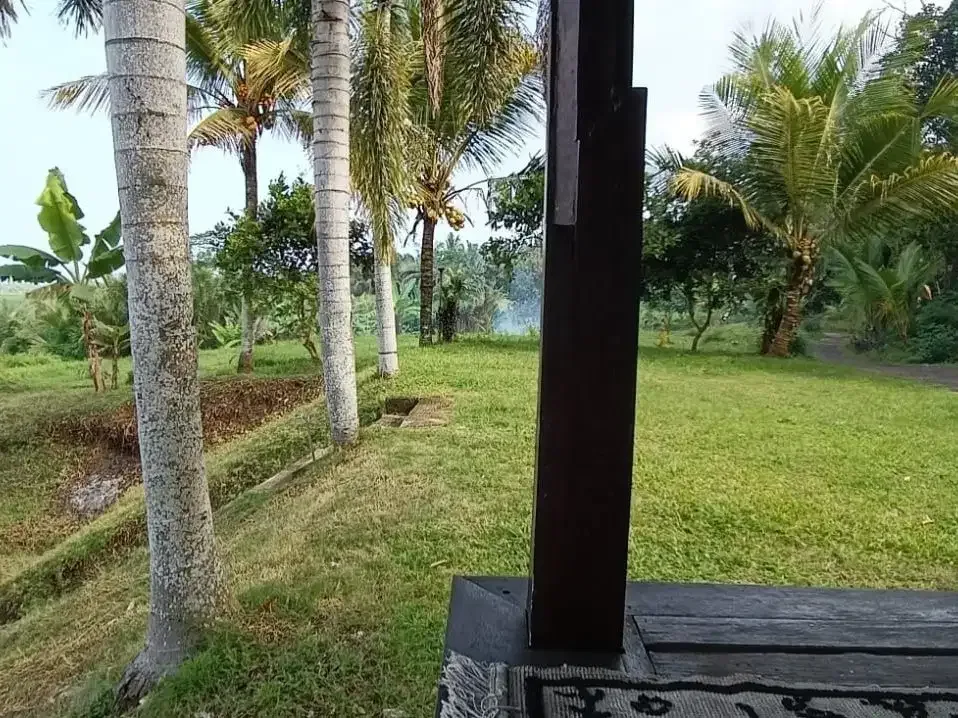 Dijual tanah kebun view sawah cantik dekat kota di bali - Image 2 of 10