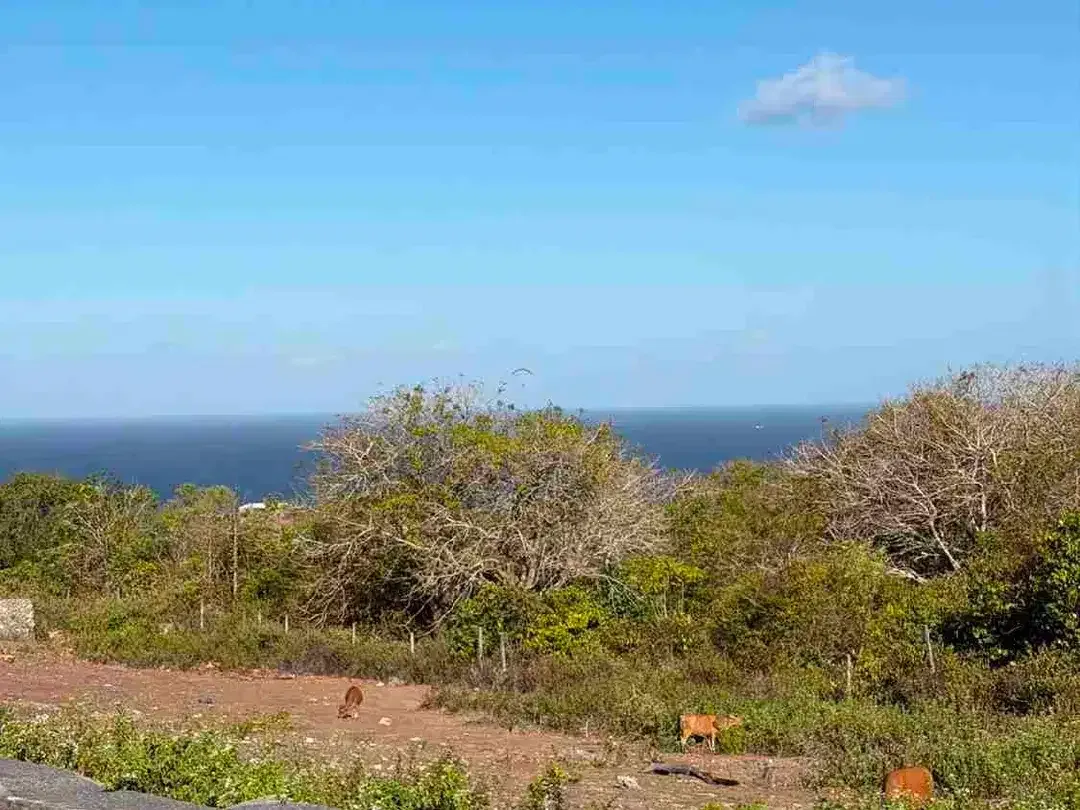 Dijual Tanah Unblock View Luas 485m2 Di Nusa Dua Bali - Image 8 of 10
