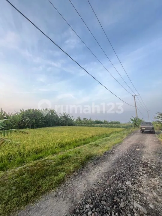 Tanah di Area Wisata Berkembang Berlokasi di Tibubiu, Pasut - Tabanan - Image 3 of 4