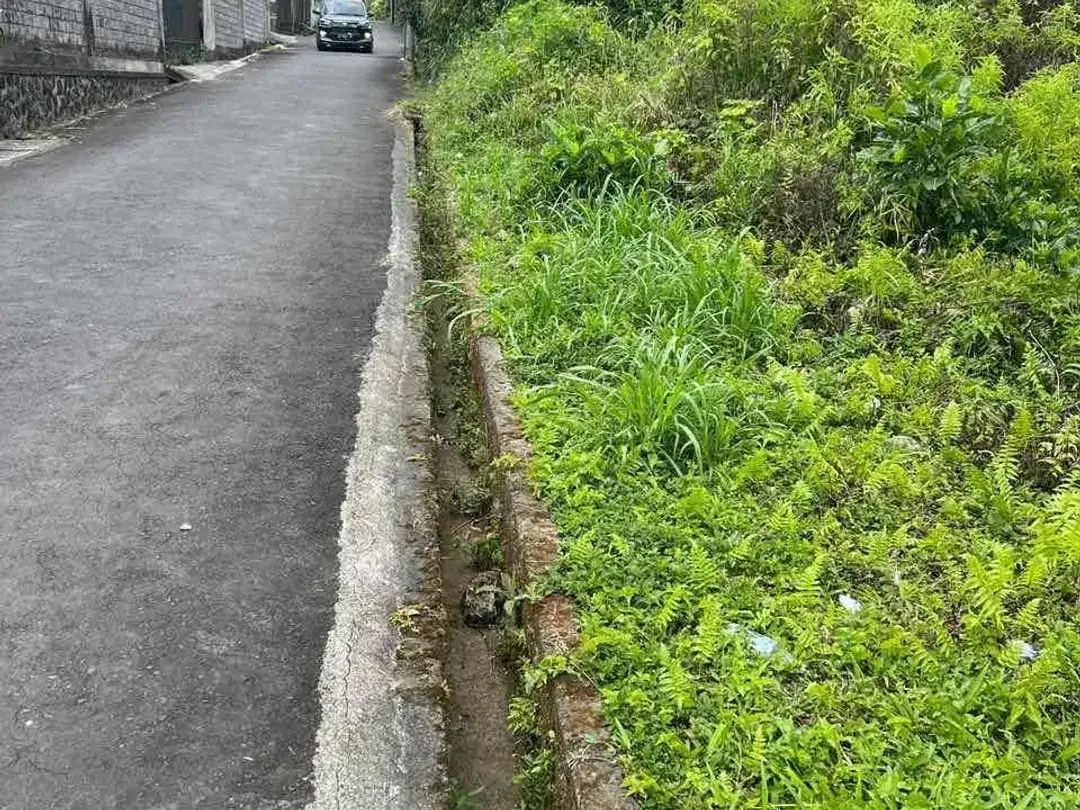 Dijual tanah lokasi PREMIUM di bedugul ( sebelah hotel the danau bedugul ) - Image 2 of 10