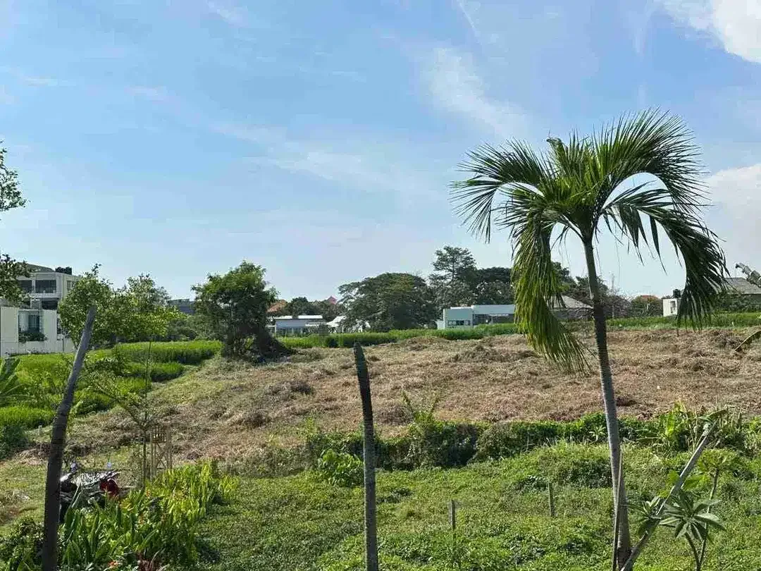 Tanah premium 5 are berawa canggu view sawsh lebar 16,3m 1,650M/are dekat ATLAS & FINS BEACH - Image 6 of 10