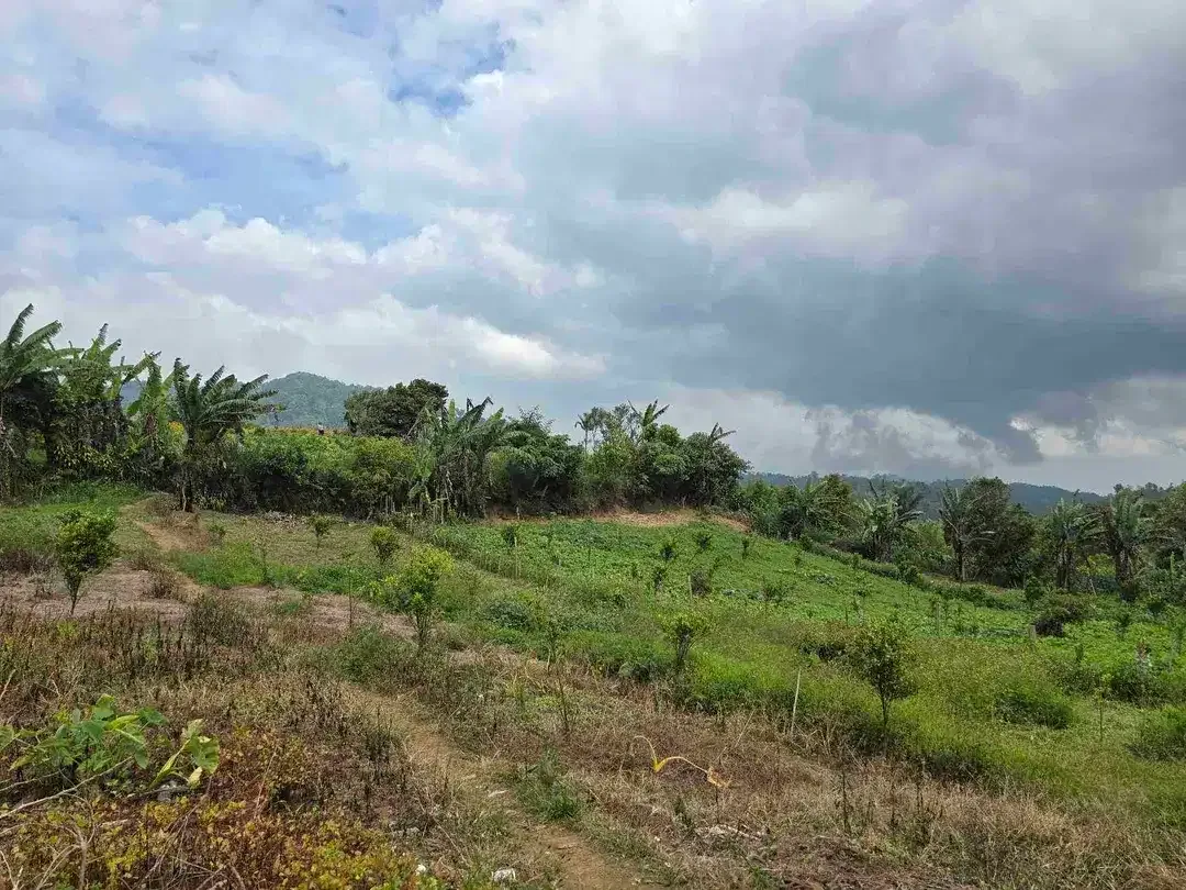 Dijual tanah kecil di.lingkungan villa kintamani bali - Image 5 of 10