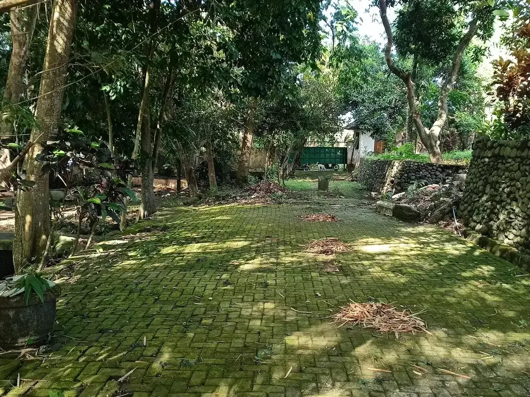 Freehold - Riverside Land for Sale in Prime Canggu, Bali Location - Image 4 of 8