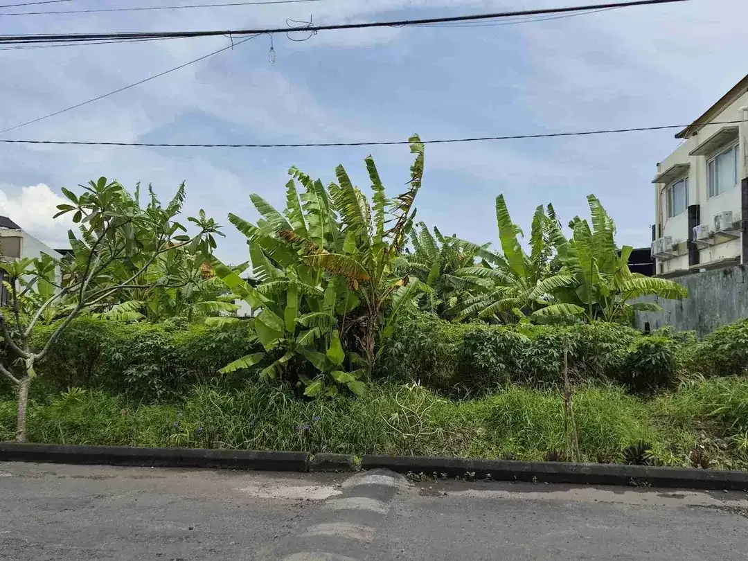 Tanah badak agung renon - Image 5 of 7