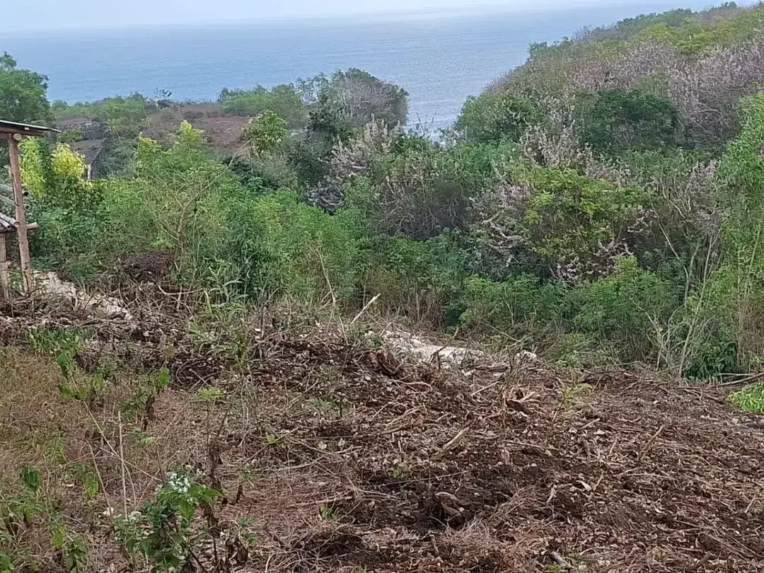 Dijual Tanah Super Premium 4.978 m² dengan Ocean View Pantai di Bali Cliff Ungasan, Zona Pariwisata, Cocok untuk Pengembangan Villa, Resort, Hotel, - Image 10 of 10