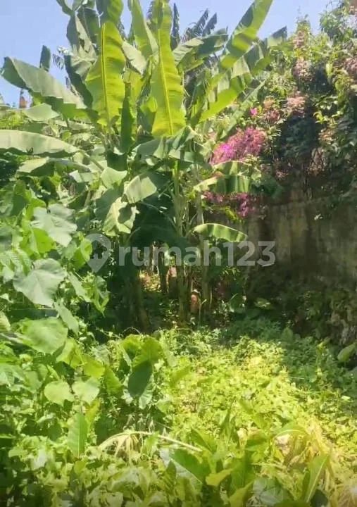 Dijual Tanah Kuta Utara - Image 4 of 4