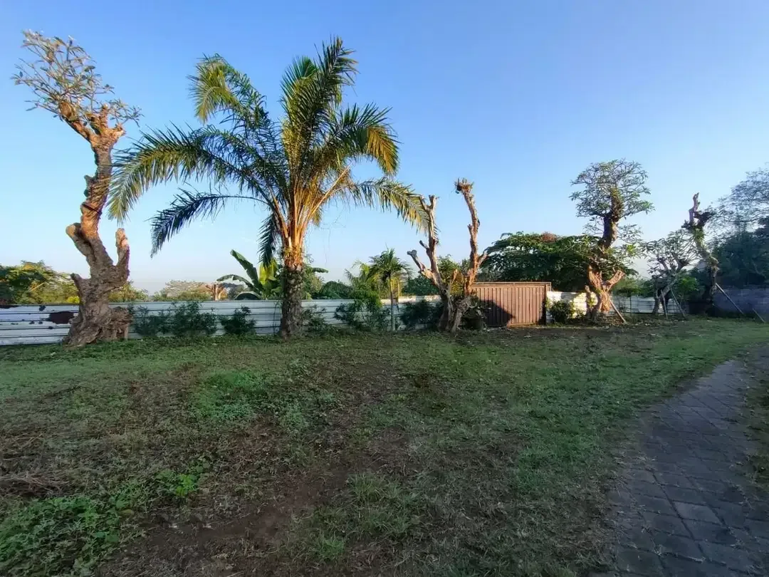 TANAH LOS SUNGAI JUNGLE VIEW DEKAT GREEN SCHOOL ARAH UBUD BALI - Image 1 of 10