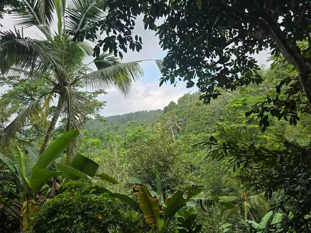 Dijual tanah dengan air terjun dan sungai cantik di bali - Image 5 of 10