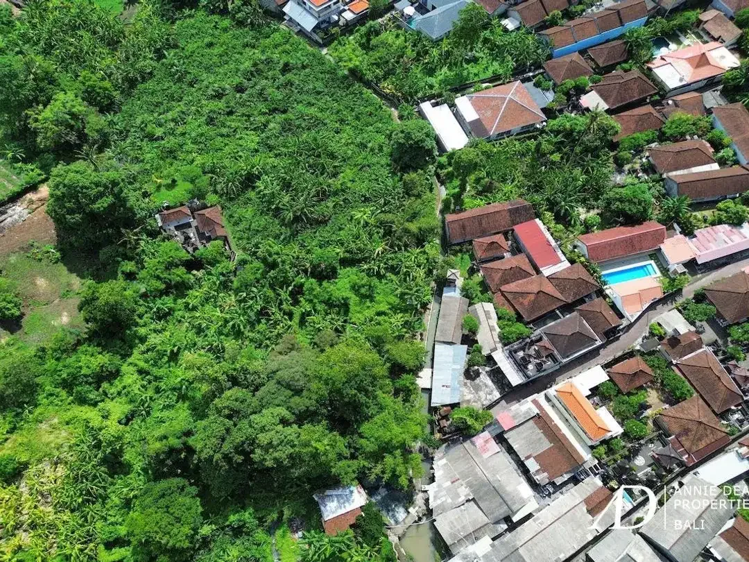 FREEHOLD & LEASEHOLD LAND OPPORTUNITY IN PADONAN - CANGGU - Image 9 of 10