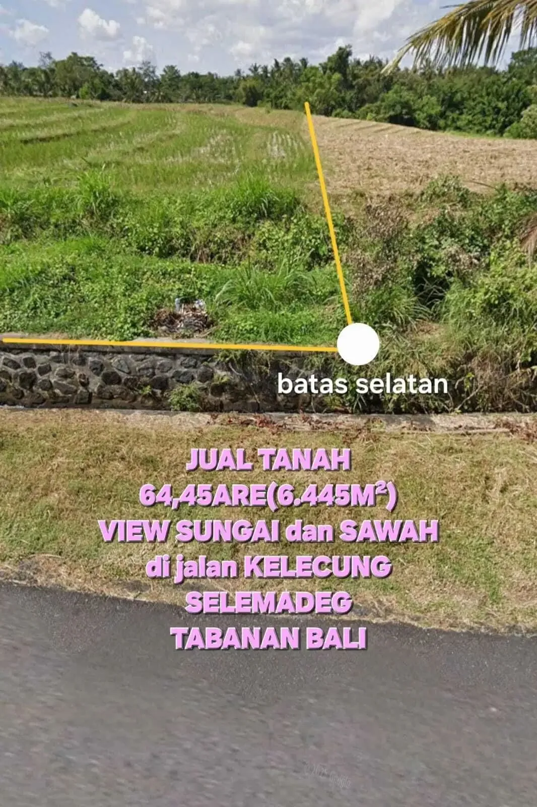 Jual tanah 6445m2 tegal megkeb tabanan - Image 2 of 7