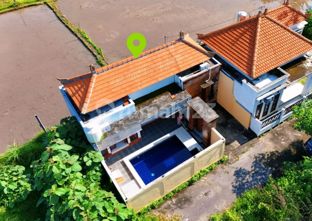 Dijual Villa Second Murah Dilovina Bali Utara - Image 2 of 4