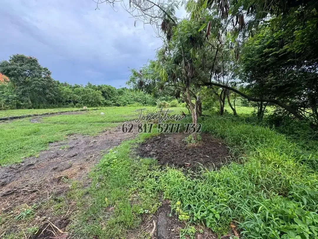 Dijual Tanah Raya Pantai Nyanyi Zona Pariwisata Tabanan - LSADT - Image 4 of 8