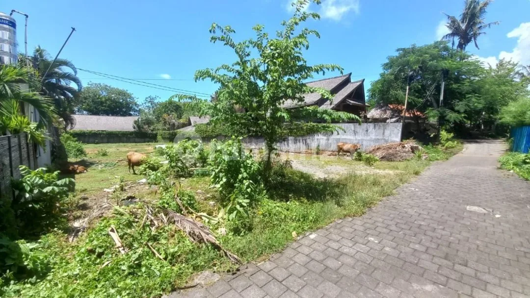 Freehold Land Sale 1350M2 Tumbak Bayuh Pererenan Canggu Bali - Image 3 of 4