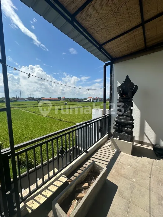 Rumah Dekat Sanur dan Denpasar View Sawah Dkt Pantai - Image 2 of 4