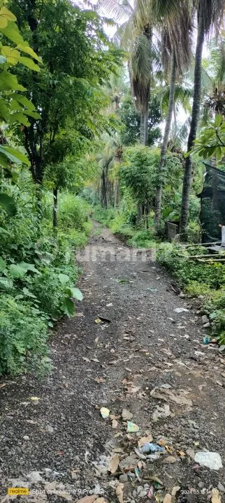 3,65 Hektar Pinggir Jalan Raya Singaraja Tejakula Buleleng Bali - Image 4 of 4