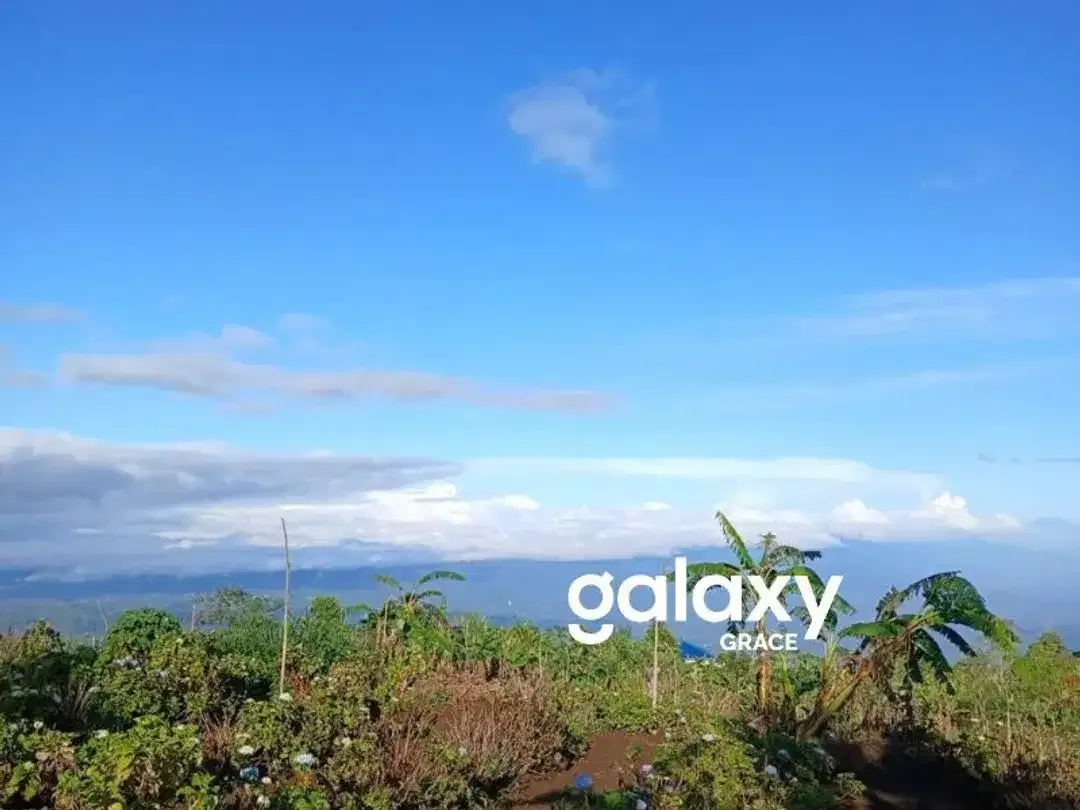 LAND FOR SALEDANAU TAMBLINGAN – MUNDUK - Image 8 of 10