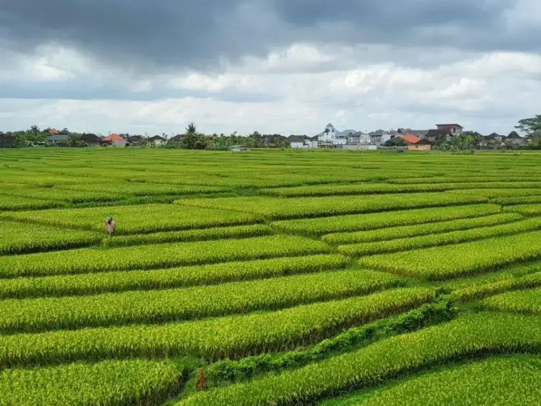 Villa View Sawah Cemagi Mengwi Badung Bali - Image 9 of 10