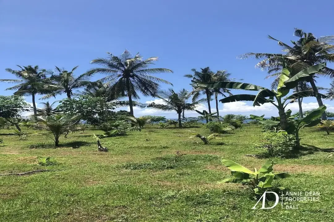 FREEHOLD LAND FOR SALE IN PANTAI MELAYA, JEMBRANA (257 ARE) - Image 6 of 9